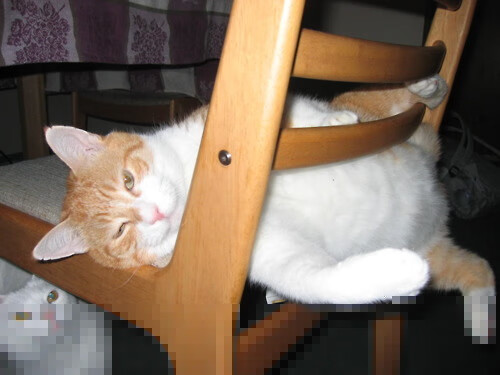 跨越太平洋的篮球风暴,德罗赞单节狂飙20分,湖人第三节发力击退新疆挑战