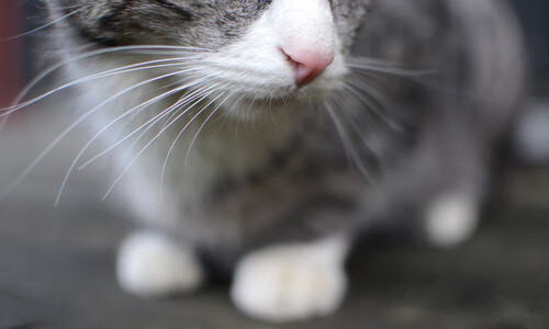 爱游戏娱乐-火星撞地球！拉什福德奇迹夜，一己之力刺穿枪手