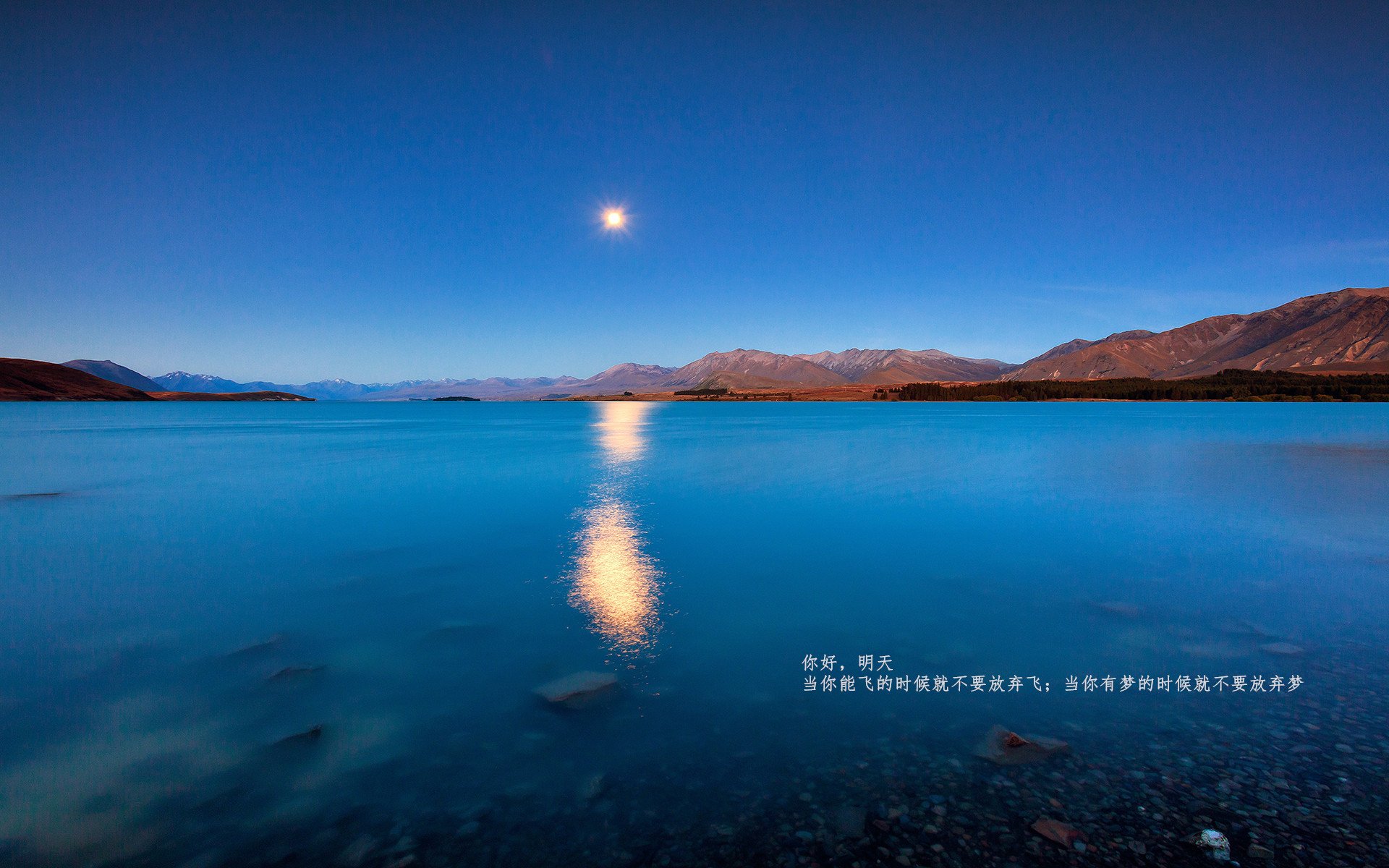 神罚降临，39岁的兹拉坦如何在一夜间让意甲防线沦为祭坛