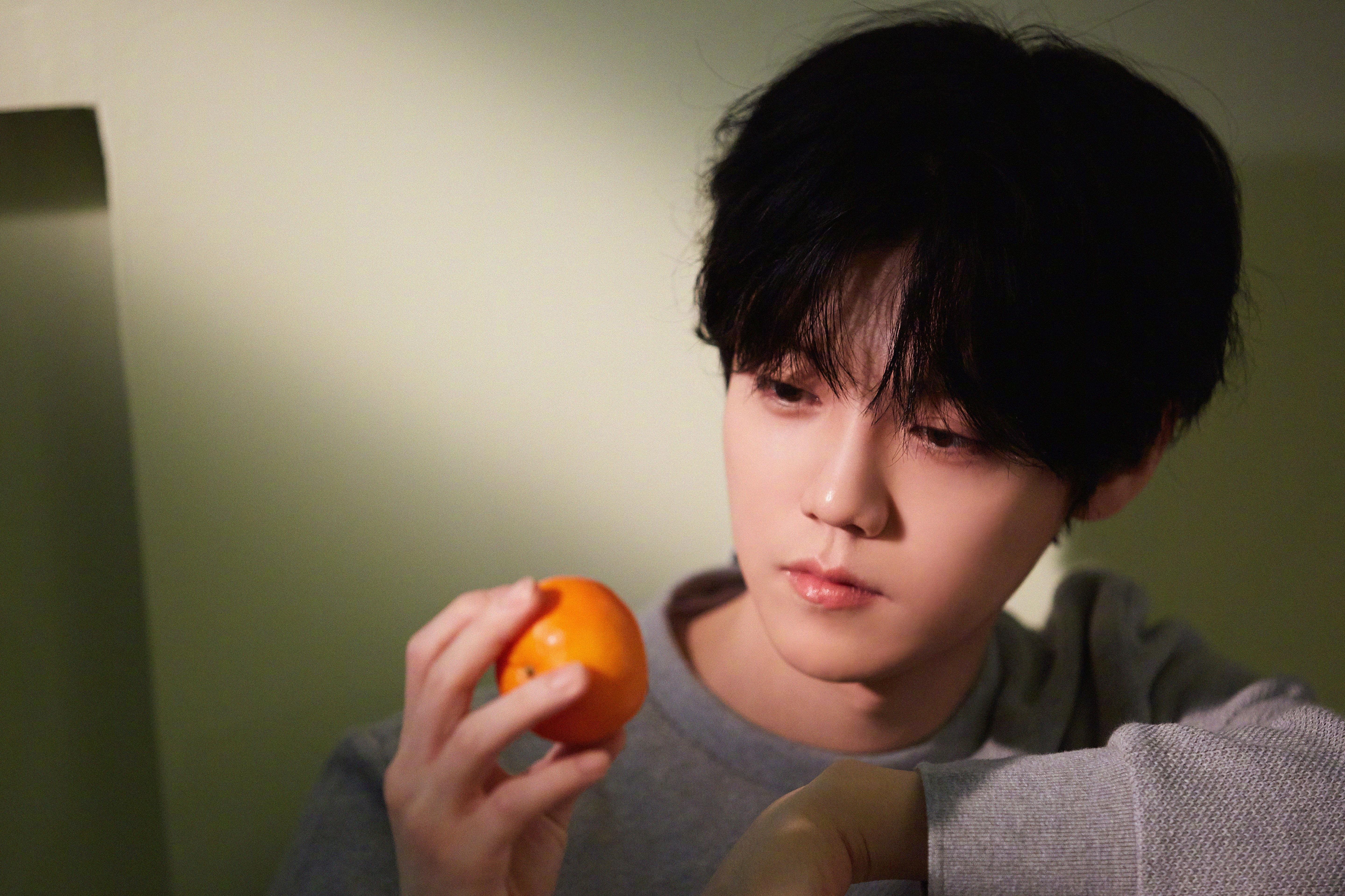 猛龙压境,塔图姆独舞—团队碾压与个人锋芒的篮球启示录