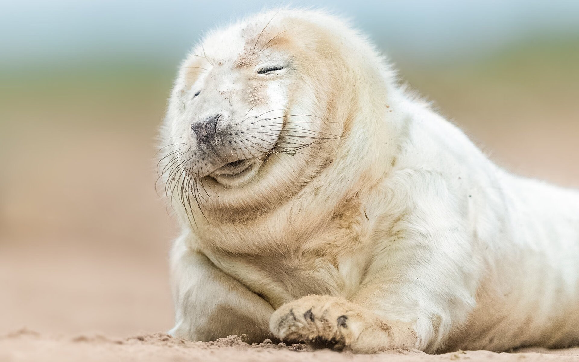 爱游戏-当德甲战火点燃南方大道，一位芬兰后卫如何成为双线战役的隐秘轴心