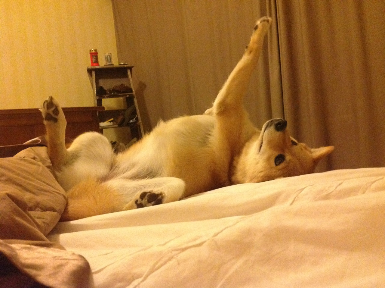 冰与火之歌，加克波关键回合尽显大心脏，巴西压哨绝杀荡气回肠