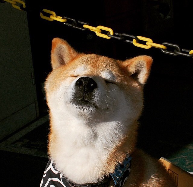 篮球场上的足球大师,约基奇用一场德甲争冠战般的统治演出定义新时代