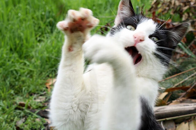 平凡英雄之夜，无名阿克，一脚踢碎宿命与王座