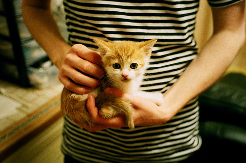 爱游戏官网-当巴雷拉扛起国际米兰，比利时防线正为欧洲足球撰写新君主论—论个体意志与体系铁壁的现代博弈