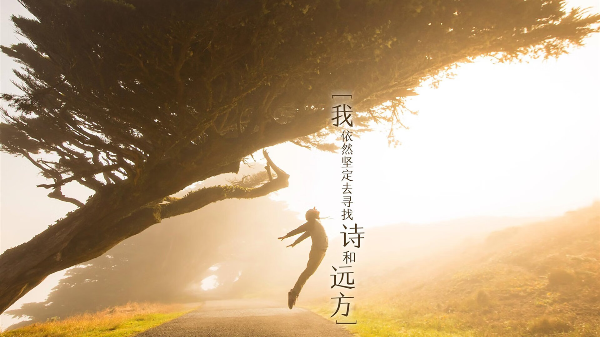 预言中的终章，当非洲雄狮踏破高原，阿诺德用一记弧线改写B组生死簿