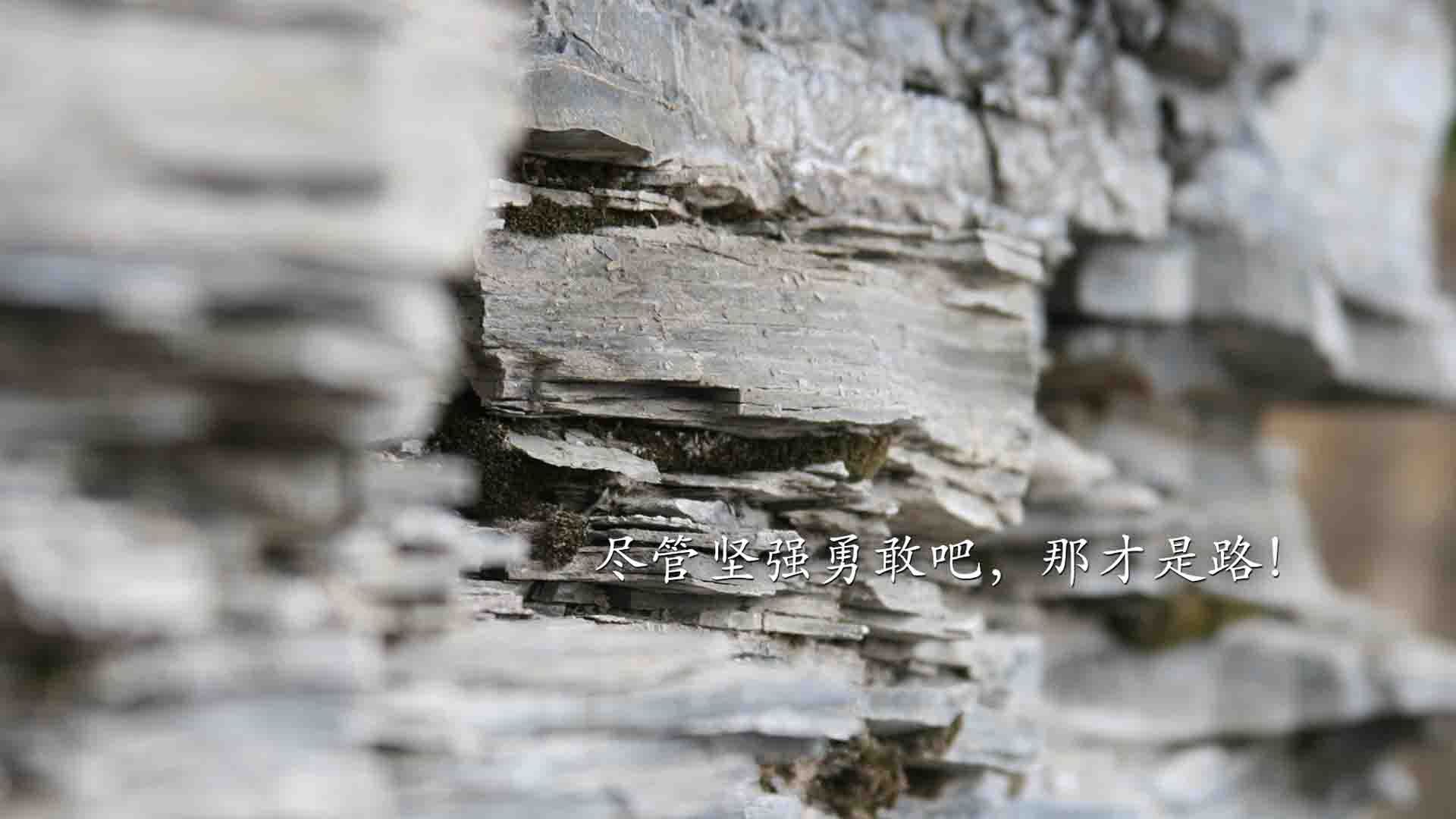 爱游戏tv-命运之夜，当贝林厄姆点亮德意志战车，门神铸就不可复制的C组传奇