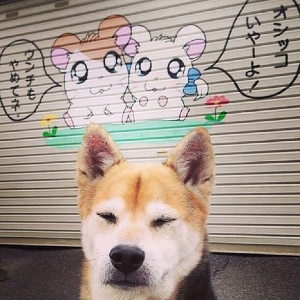 唯一的神谕，当哈兰德在H组改写巴西与伊朗的命运剧本